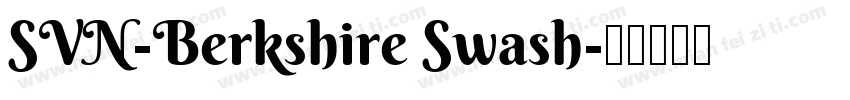 SVN-Berkshire Swash字体转换